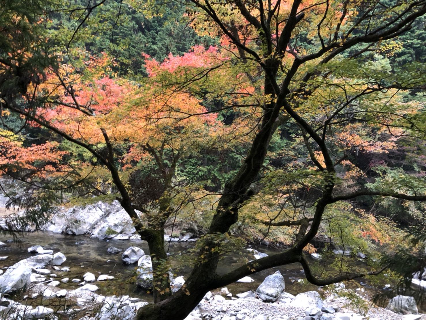 人とちがう方へ